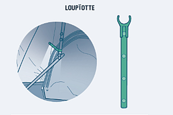 Loupiötte TriUp