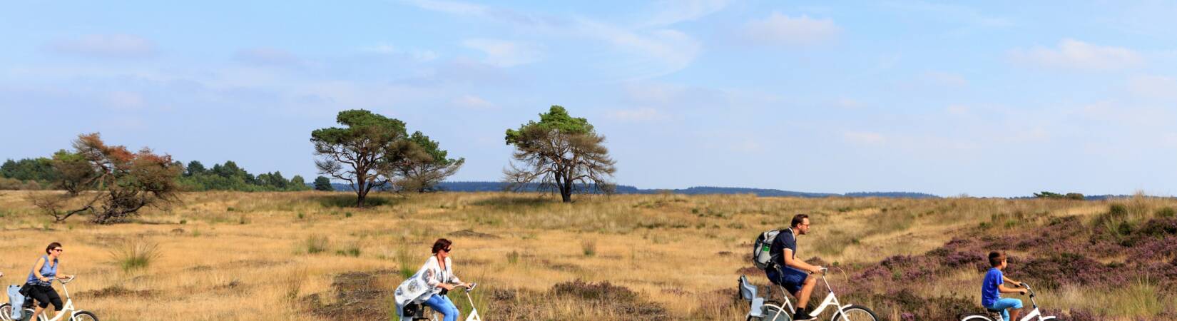 Parc national Hoge Veluwe