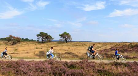 Parc national Hoge Veluwe