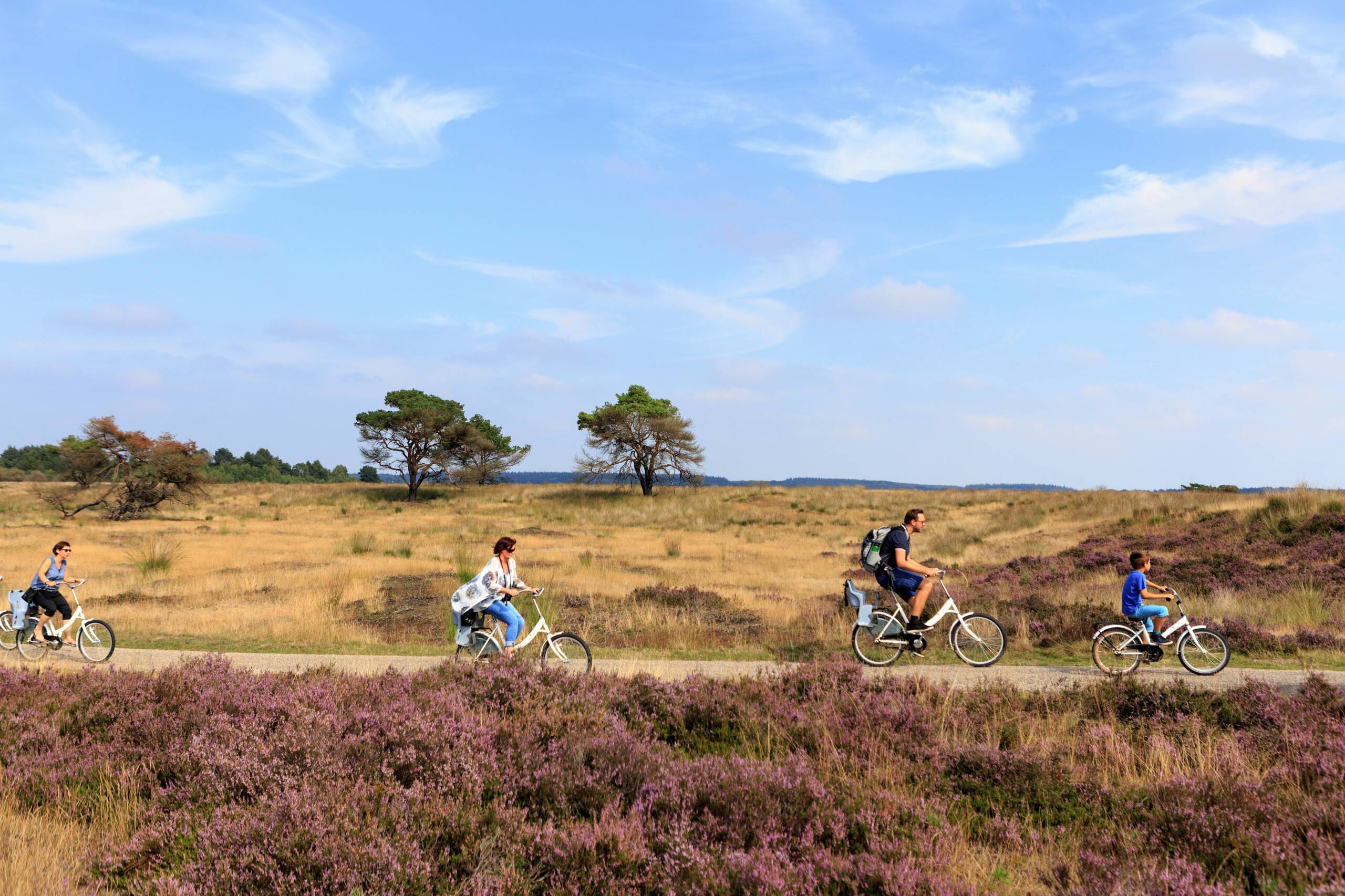 Parc national Hoge Veluwe